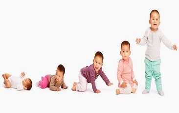 Introduction to Child Growth &amp; Development